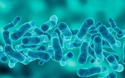 Landlord Guidelines for Legionella Risk Assessments