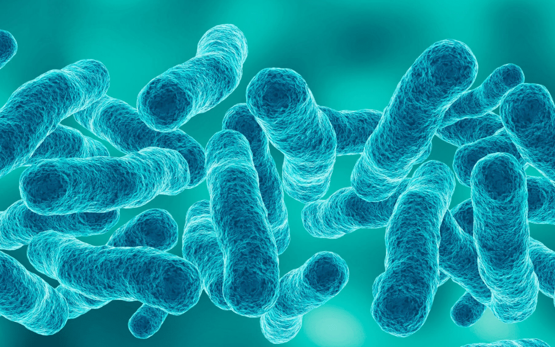 Landlord Guidelines for Legionella Risk Assessments