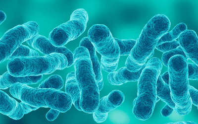 Landlord Guidelines for Legionella Risk Assessments